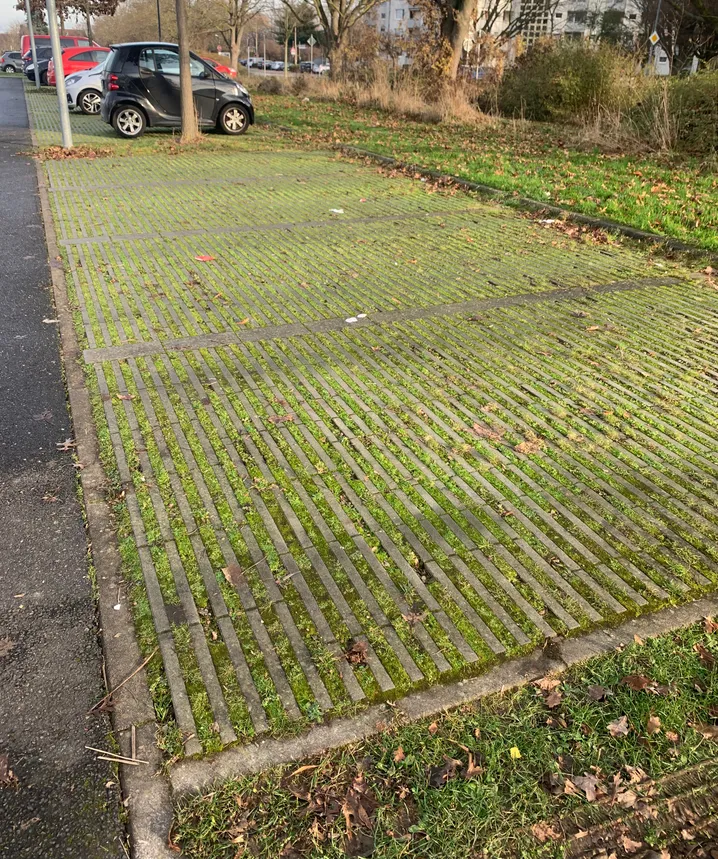 Parktaschen mit Rasensteinen