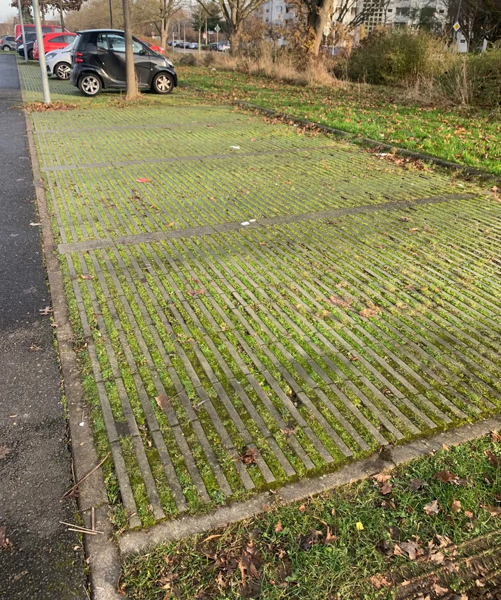 Parktaschen mit Rasensteinen